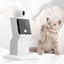 Jouet laser interactif automatique pour chat – Pointeur laser pour animaux à mouvement aléatoire