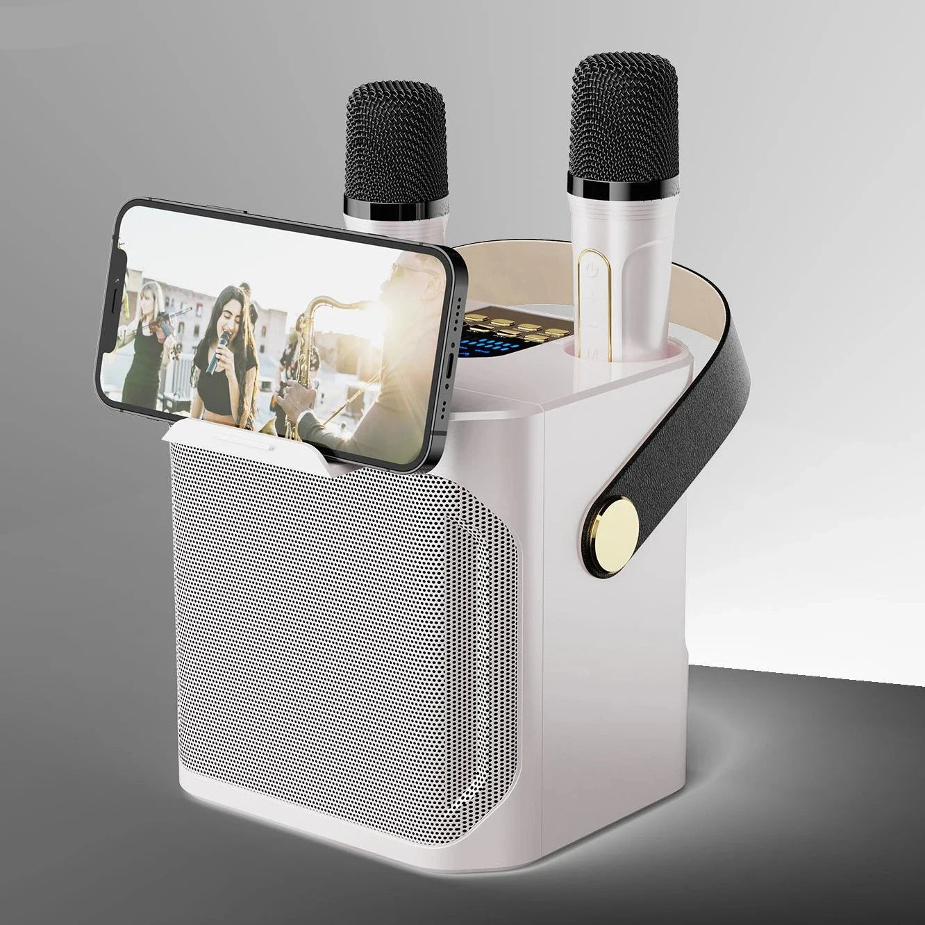 Portable High-Power Bluetooth Speaker – Karaoke