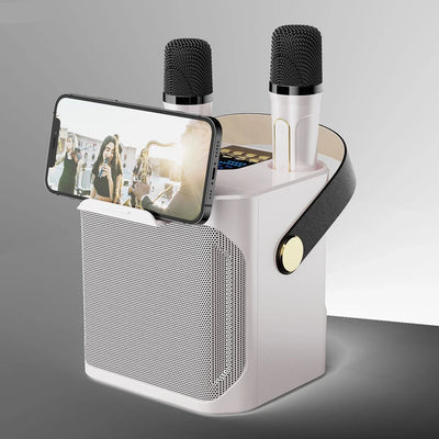 Portable High-Power Bluetooth Speaker – Karaoke