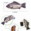Realistic Carp Pencil Case – Fish-Shaped Makeup & School Bag