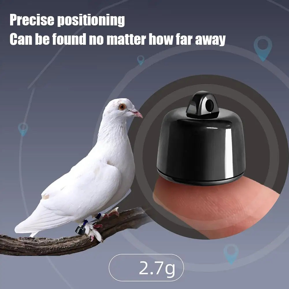 Mini traceur GPS pour animaux de compagnie – Suivi sans fil en direct pour chiens et chats