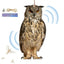 Owl Bird Scarecrow – Realistic Garden Hanging Repeller