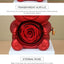 Romantische ketting met eeuwige roos en teddybeer - Cadeauset