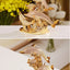 Golden Crystal Dolphin Figurine – Ceramic Decorative Sculpture