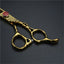 6” Gold Barber Scissors – Cutting & Thinning Set