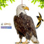 Owl Bird Scarecrow – Realistic Garden Hanging Repeller