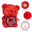 Romantische ketting met eeuwige roos en teddybeer - Cadeauset