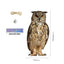 Owl Bird Scarecrow – Realistic Garden Hanging Repeller