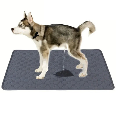 Dog Training Pad – Reusable Waterproof Puppy Pee Mat