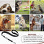 Sifflet et clicker professionnels pour chiens – Signaux ultrasoniques de dressage et d'apaisement