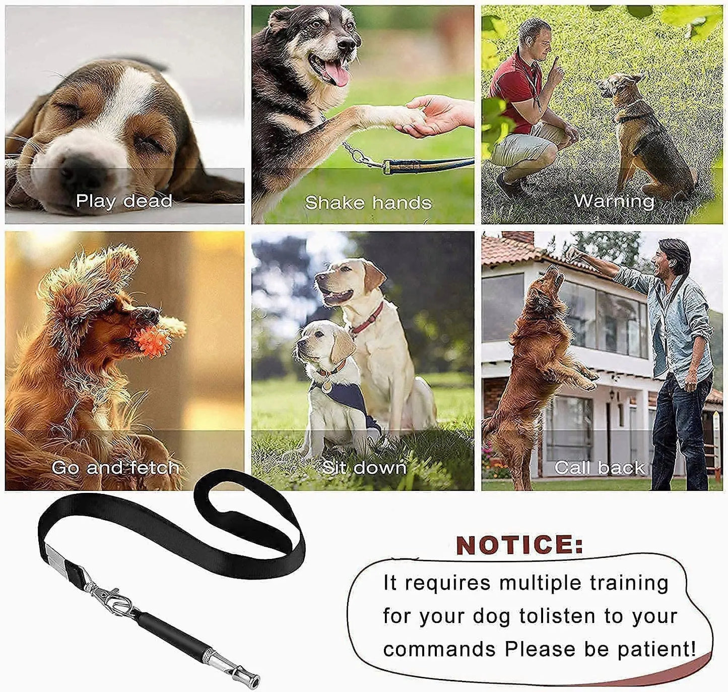 Sifflet et clicker professionnels pour chiens – Signaux ultrasoniques de dressage et d'apaisement