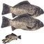 Realistic Carp Pencil Case – Fish-Shaped Makeup & School Bag