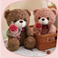 Bouquet d'ours en peluche pour la Saint-Valentin – Cadeau en peluche douce de 25 cm