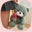 Bouquet d'ours en peluche pour la Saint-Valentin – Cadeau en peluche douce de 25 cm