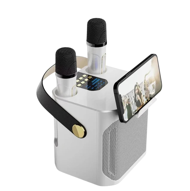 Portable High-Power Bluetooth Speaker – Karaoke