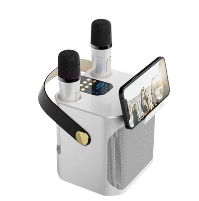 Portable High-Power Bluetooth Speaker – Karaoke