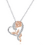 Coffret cadeau élégant en forme de cœur avec collier de roses de luxe