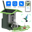 WiFi Bird Feeder Camera with Solar Power