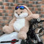 Large Angry Bunny Plush – Cute Stuffed Toy for Kids & Room Decor