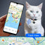 Mini traceur GPS pour animaux de compagnie – Suivi sans fil en direct pour chiens et chats